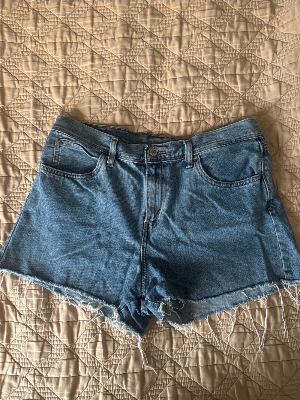 Levi 501 Classic Blue Denim Cutoff Shorts - Women's